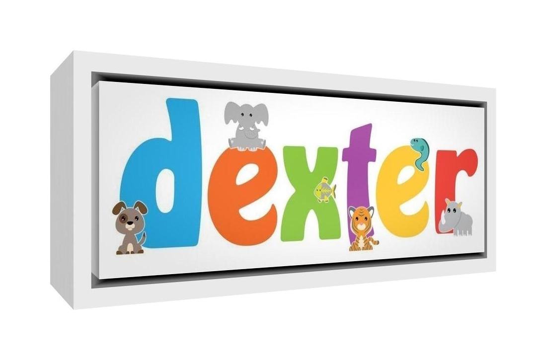 Feel Good Art Cute Illustrative Design Framed Box Canvas with Solid White Wooden Surround (19 x 46 x 3 cm, Small, Dexter)