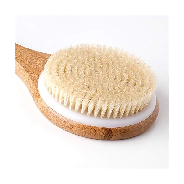 Ithyes Body Brush Dry Brushing Back Scrubber Shower Bath Brush Bamboo Wood Long Handle Natural Bristles exfoliating…