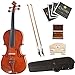 Cecilio 3/4 CVN-200 Rosewood Fitted Solid Wood Violin