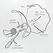 TopSeller Space Saver Basketball Soccer Ball Claw Sports Wall Mount Holder for Ball Basketball Bracket