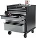 Gladiator GAGD275DRG Premier Modular GearDrawer