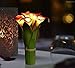 Homeseasons LED Lighted Artificial Flower Arrangement-Battery Operated 7 Heads Calla Lily Light with Green Leaves