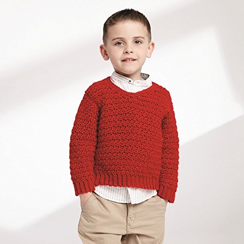 Caron Simply Soft Solids Yarn, 6oz, Gauge 4 Medium, 100 acrylic