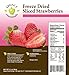 Legacy Essentials Freeze Dried Strawberries - 15 Year Shelf Life for Emergency Survival Food Storage Supply - Great Fruit Snack (Quantity 1)