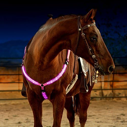 LED Horse Breastplate Collar – USB Rechargeable – Best High Visibility Tack For Horseback Riding – Adjustable, Sturdy & Comfortable Hi-Viz Equestrian Safety Gear – Makes Your Horse Visible and Seen