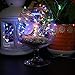 BEILAI LED String Lights 33ft 100LEDs Gifts Multicolor Waterproof Adjustable Fairy Lights Indoor Upholstery