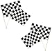 Fun Express - Plastic Checkered Racing Flags for Party - Perfect for Racing Theme Parties Events & Celebrations - Durable Flags Event Deco Themed Parties & Special Occasions - Black/White - 12 Pieces