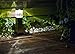 Solar Pathway Lights Outdoor Decorations Home Decor Decorative Garden Path Bollard Light Stakes Deal of The Day Prime Today Bright 10Lumen Stainless Steel Landscape Lighting for Walkway Driveway 2Pack