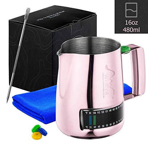 Milk Frothing Pitcher With Integrated Thermometer, 16oz/480ml Stainless Steel Milk Coffee Cappuccino Latte Art Barista Pitcher Milk Jug Cup, With Decorating Art Pen & Microfiber Cloth, Polished Finish