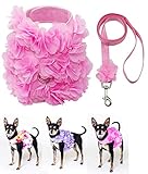 Dashin' Dogz Floral Pink Dog Harness and Matching Leash Set for XSmall and Small Breeds Like Chihuahua, Yorkys, Teacup Breeds