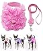 Dashin' Dogz Floral Pink Dog Harness and Matching Leash Set for XSmall and Small Breeds Like Chihuahua, Yorkys, Teacup Breeds