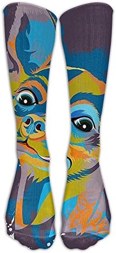 Watercolor Chihuahua Men Women Casual Long Socks Stockings Colorful Patterned Sport Socks