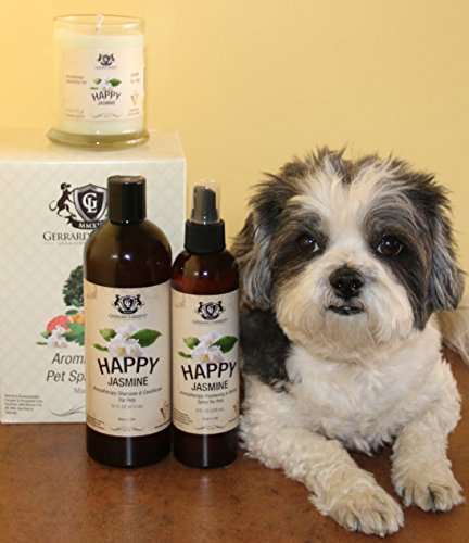 Wildwoods (Cedarwood & Vanilla) Aromatherapy Deodorizing Soy Candle For Pets, Candles Scented, Pet Odor Eliminator & Animal Lover Gift - 6 OZ (170 g)