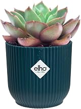 elho Vibes Fold Round Mini 9-100% Recyclable Flower Pot Ø9.3 x H8.8 cm Blue view 9