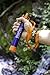 BlizeTec Water Filter Straw: Emergency Preparedness Kit; Portable, Reusable and Filter to 0.01 Microns