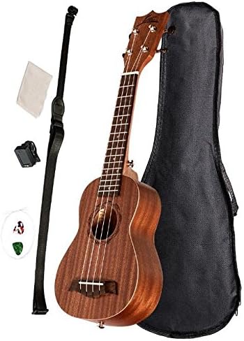 Rekome 21 Inch Ukulele Small Hawaiian Guitar with Mahogany Body Backup Strings Tuner