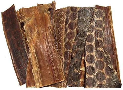 Beef Esophagus for Dogs 6 inches | 25 Pack | All Natural Beef Chews | Meat Jerky treats from Free-Range Grass Fed Cattle with No Hormones, Additives or Chemicals | From 123 Treats by 123 Treats