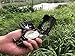 AOFAR Military Compass Lensatic Sighting-Multifunctional, Fluorescent, Waterproof and Shakeproof with Inclinometer and Carrying Bag for Camping, Hiking, Hunting