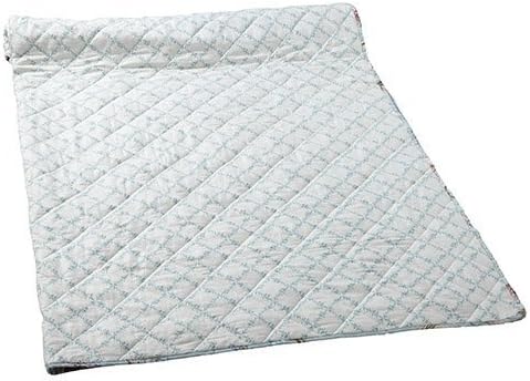iLiv Botanica Duck Egg Blue Bed Linen Collection: Trellis 100% Cotton Percale Reversible Quilted Bed Throw 104 x 104 (265cm x 265cm) by iLiv