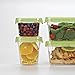 OXO Good Grips Locktop Small Square Container, Green, 2.5 Cups