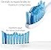8 Pack Replacement Toothbrush Heads for Philips Sonicare ProResults by demirdental fits DiamondClean EasyClean and Many More HX6018