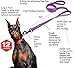 Primal Pet Gear 6ft Long Heavy Duty Double 2 Handle Dog Leash for Large and Medium Dogs, Tough Metal Clip, Durable leashes, Training Lead for Puppy, Strong Dog Leads, Reflective Stitching, Purple