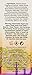 Passport Paris Eau-de-toilette Spray Women by Paris Hilton, 1 Ounce
