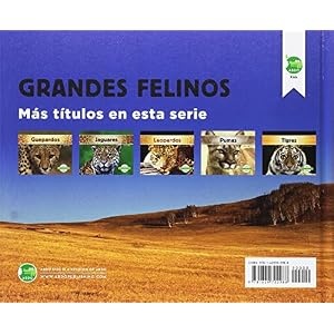 Leones (Grandes Felinos / Big Cats) (Spanish Edition)