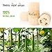 Natural Loofah Sponge - Exfoliating Body Scrubber for Shower Scrubbing, Organic Luffa Sponges, Egyptian Real Loofa, Bath Shower Puff for Bathing, Spa, Massaging Daily Skin Cleansing Care