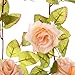 Felice Arts 2 Pack 17 Heads 7.2 Ft/pc Artificial Silk Fake Flowers Autumn Rose Vine Realistic Hanging Silk Rose Plants Wedding Home Party Arch Decor (Champagne)