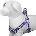 Blueberry Pet 5 Colors Soft & Comfy Step-in Paisley Flower Print Dog Harness, Chest Girth 19.5