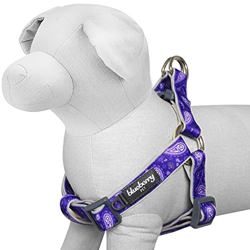 Blueberry Pet 5 Colors Soft & Comfy Stepin Paisley Flower Print Dog