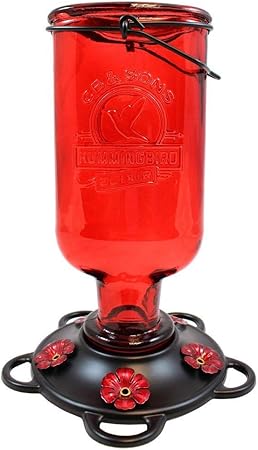 Amazon Com More Birds Elixir Hummingbird Feeder Vintage Glass
