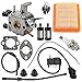 Anzac FS250 Carburetor with Ignition Coil Air Filter for FS120 FS200 FS250 FS250R FS300 FS350 FS120R FS250R Trimmer