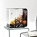 biOrb Flow 30 Aquarium with LED – 8 Gallon, Blackthumb 2