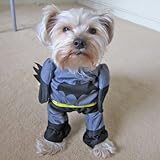 Alfie Couture Pet Apparel – Superhero Costume Batman – Size: M