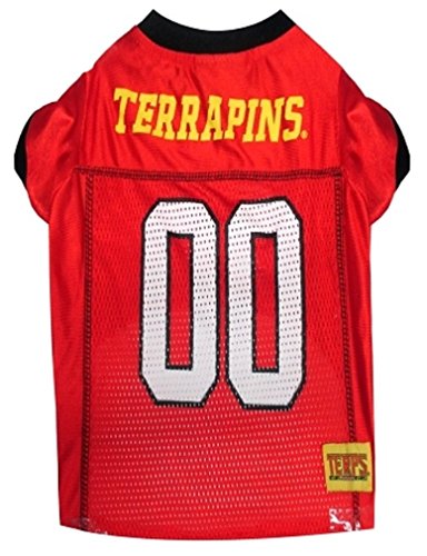 Maryland Terrapins