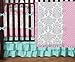 Sweet Jojo Designs 9-Piece Boutique Skylar Turquoise Blue Pink Polka Dot and Gray Damask Girls Baby Bedding Crib Set