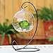 Set of 2 Black Iron Hanging Stand Rack for Glass Globe Wedding Gift Ornament Candle Jewelry (9 Inch)