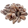 Salam Mishri Powder Salab Misri Churna (25 GMS)