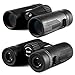 Wingspan Optics RuggedEagle 8X32 Compact Binoculars for Bird Watching. Pocket-Size, Waterproof and Ultra-Lightweight for the Go-Anywhere Traveler. Experience Wood and Stream With Breathtaking Clarity