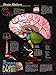 Jaguar Educational- Human Brain Chart Poster Series - Set of 5 Posters