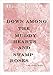 Down Among the Muddy Hearts and Swamp Roses: A Ms. Graves Mystery (Ms Graves Mysteries Book 1) by Hugh Aubyn