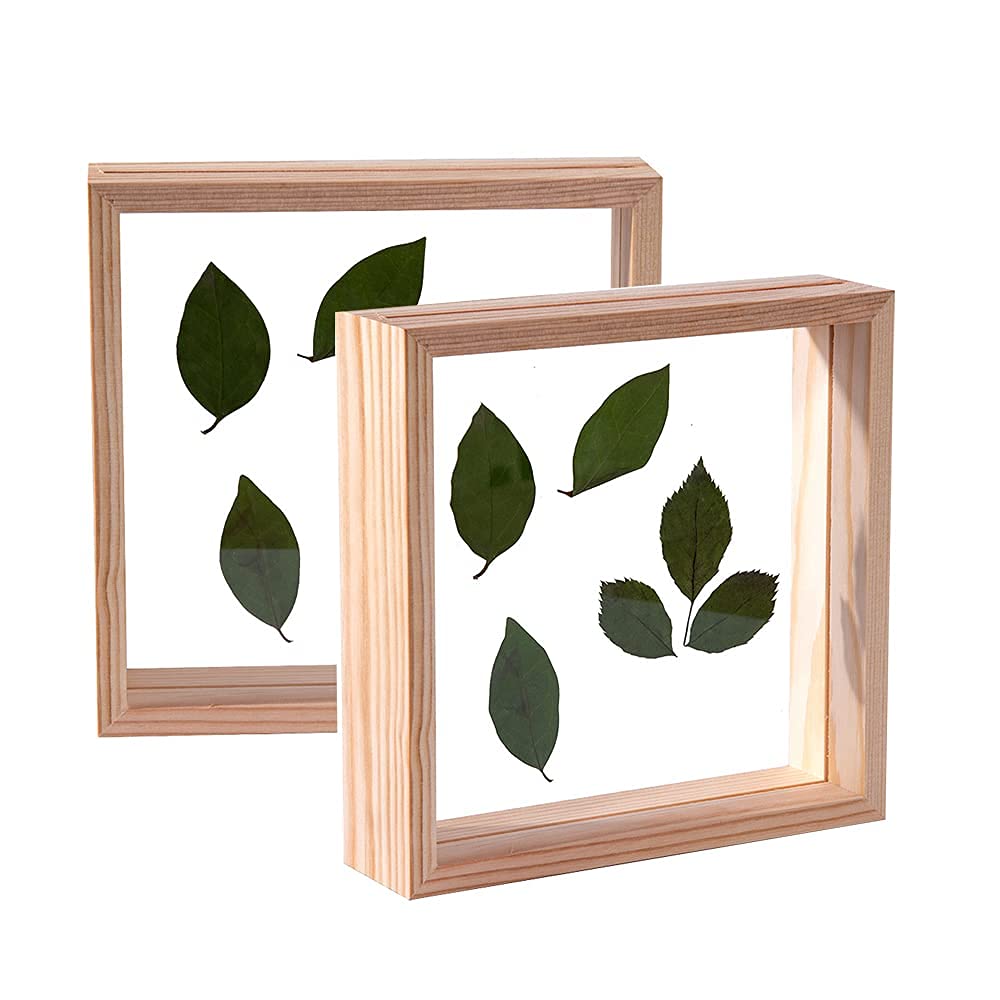 C&Z 8x8 2Pcs Wood Picture Photo Frames Double Sided Acrylic Herbarium Plant Specimen Frame for Pressed Flowers Dried Leaf Display Desktop Table Wall Decoration Wooden
