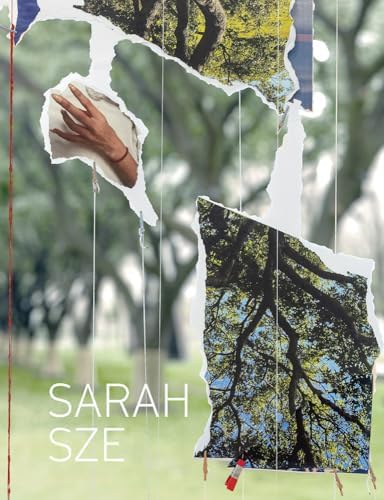 Amazon.com: Sarah Sze (Phaidon Contemporary Artists Series