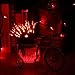 Brizled Red Christmas Lights, 33ft 100 LED Connectable Christmas String Light, 120V UL Certified LED Light String for Indoor & Outdoor, Xmas Tree, Garden, Party and Holiday Decoration