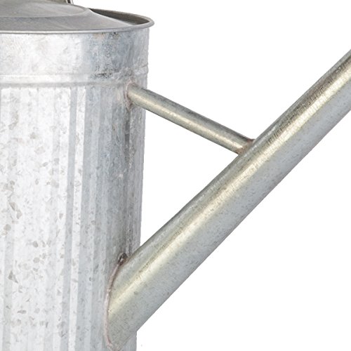 2 gallon Vintage Galvanized Watering Can with Wood Handle