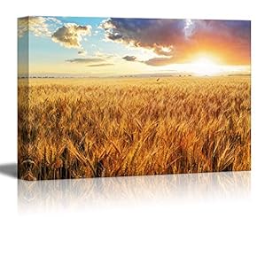 Beautiful Scenery Landscape Sunset Over Wheat Field Home...