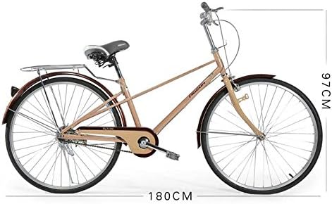 Bicycle Commute 20 inches fold convenient Pedal PIGEON Commuter car ROSE2