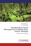 Image de Collaborative Forest Management in Belete Gera Forest, Ethiopia: Prospects and Challenges